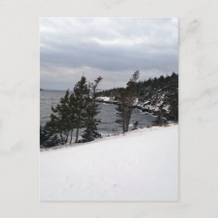 Carte Postale Le plaisir du coeur