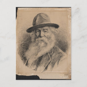 Carte Postale Le poète Walt Whitman Portrait par Valerian Gribay
