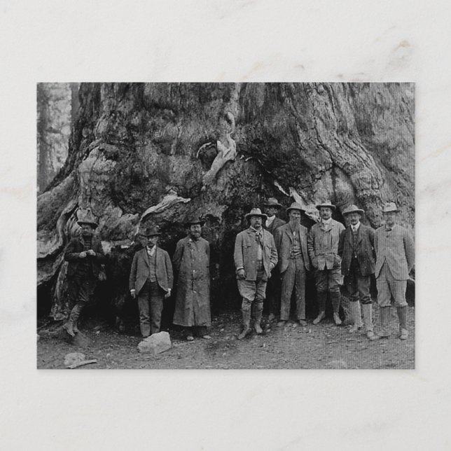 Carte Postale Le président Roosevelt et John Muir Californie 190 (Devant)