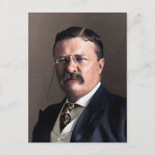 Carte Postale Le président Theodore Roosevelt