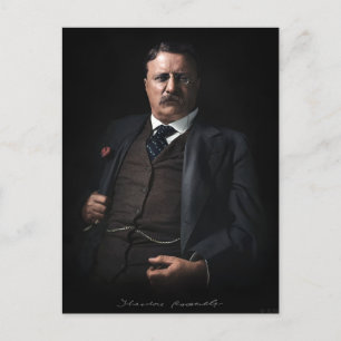 Carte Postale Le président Theodore Roosevelt