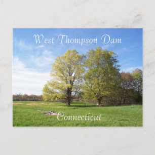 Carte Postale Le printemps a Sprung