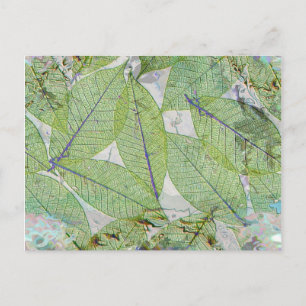 Carte Postale Le printemps a Sprung