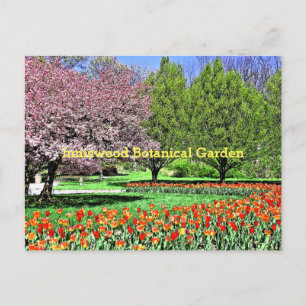 CARTE POSTALE "LE PRINTEMPS ARRIVE AU JARDIN BOTANIQUE EN BOIS D