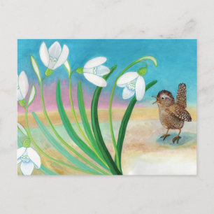 Carte Postale Le printemps arrive - Wren bird & snowdrops