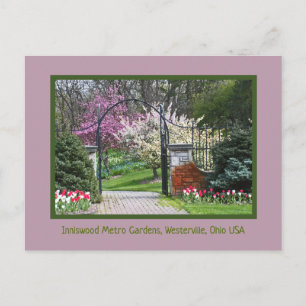CARTE POSTALE "LE PRINTEMPS BRÛLE À INNISWOOD"
