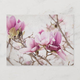 Carte Postale Le printemps est dans l'air