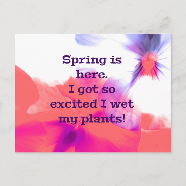 Carte Postale Le printemps est là. Je me suis tellement excité q (Devant)