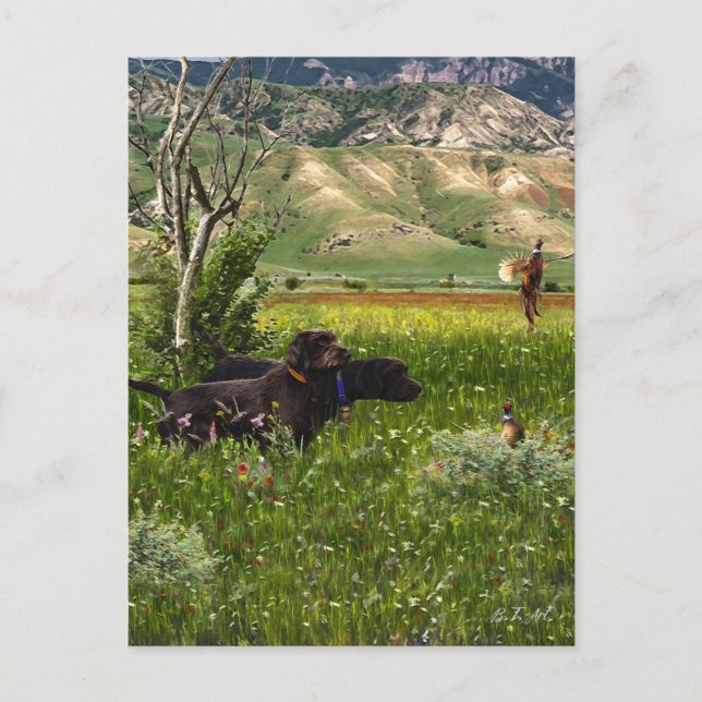 Carte Postale Le Pudelpointer (Devant)