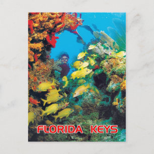 Carte Postale Le récif de Floride dans les Keys de Floride