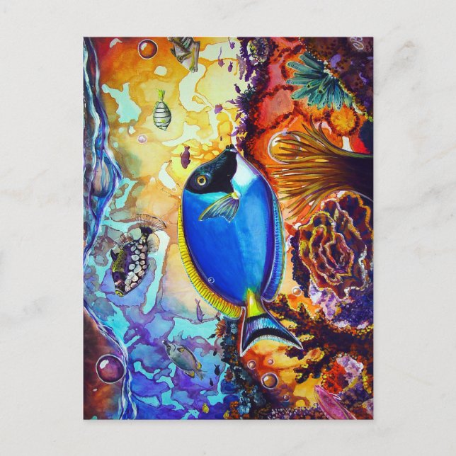 Carte Postale Le récif des Lumières de l'île de CBjork (Devant)