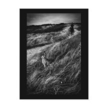 Le Rendez-vous d'Alice Wonderland