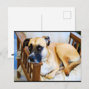 Carte Postale Le Repos du Veilleur