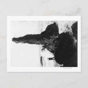 Carte Postale Le Rocher de la Duchesse à Newport, Oregon