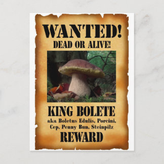 Carte Postale Le roi Bolete - Recherché mort ou vivant