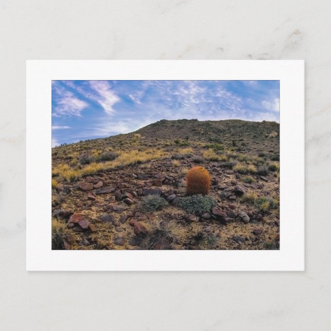 Carte Postale " Le Roi De La Colline " (Devant)