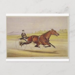 Carte Postale Le Roi du Turf, 'St. Julien', conduit par Orri