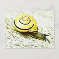 Le rythme de l'escargot