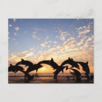 Le saut du dauphin de l'eau au coucher du soleil
