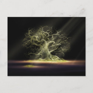 Carte Postale Le secret 4