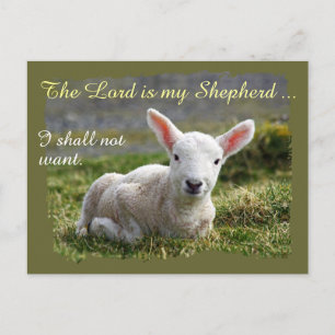 Carte Postale Le Seigneur est mon Berger Petit Agneau Blanc