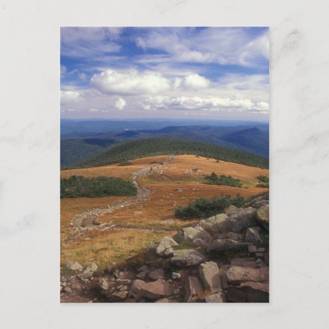 Carte Postale Le sentier du Sommet du Mont Moosilauke (Devant)