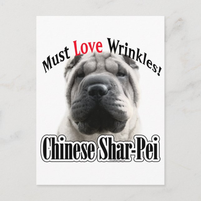 Carte Postale Le Shar-Pei Chinois Doit Aimer Les Rondages (Devant)