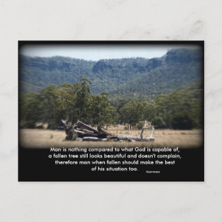 Carte Postale Le Sleepy Log, Homme n'est rien comparé à ce que..