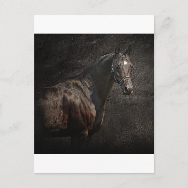 Carte Postale Le solitaire (Devant)