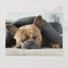 Carte Postale Le son Buldog français endormi