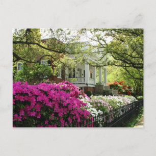Carte Postale Le sonage - Printemps à Natchez, Mississippi