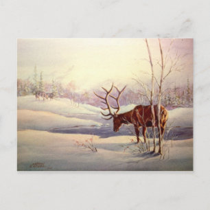 Carte Postale LE STANDOFF by SHARON SHARPE