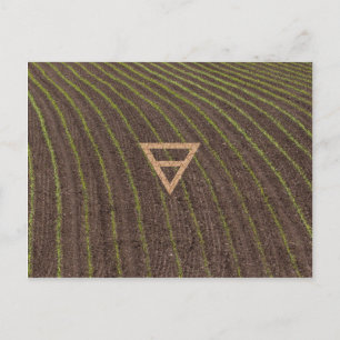 Carte Postale Le symbole de la Terre de l'élément