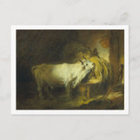Le taureau blanc dans la stabilité (huile sur toil