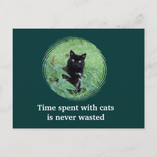 Carte postale : Le temps passé avec les chats n'es