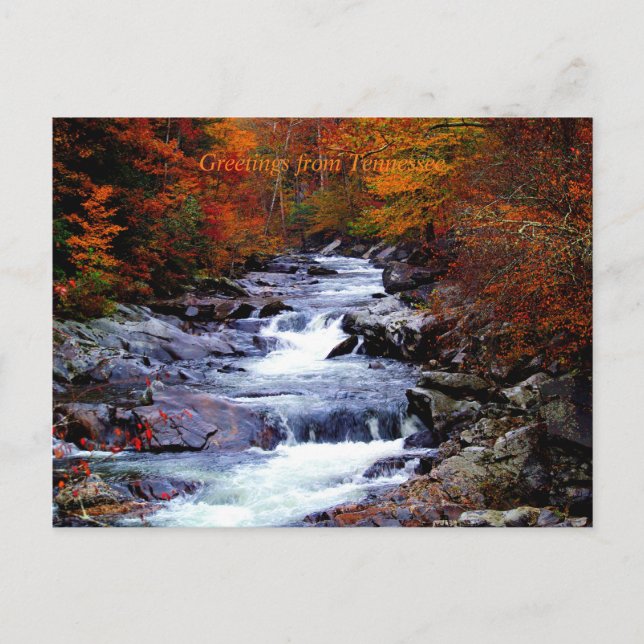 Carte Postale Le Tennessee, le parc national Smoky (Devant)