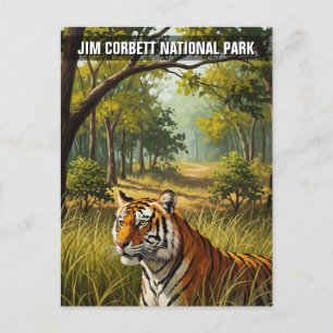 Carte Postale Le tigre dans le parc national Jim Corbett