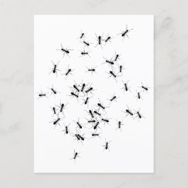 Carte Postale Le Travail d'équipe