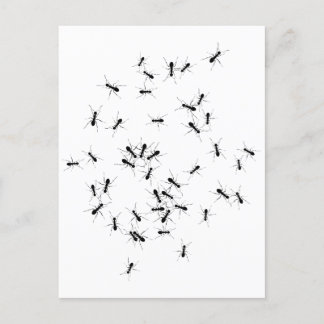 Carte Postale Le Travail d'équipe