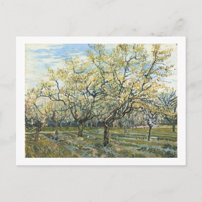 Carte Postale Le Verger Blanc (F403) Van Gogh Fine Art (Devant)