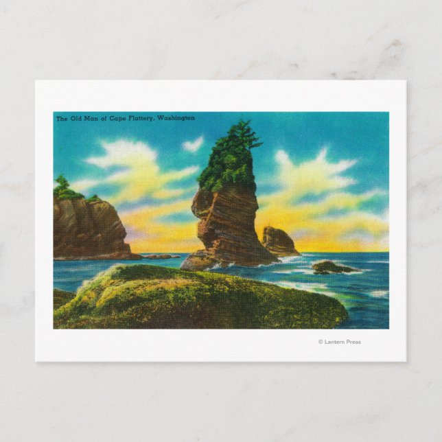 Carte Postale Le vieil homme de Cape Flattery, WA (Devant)