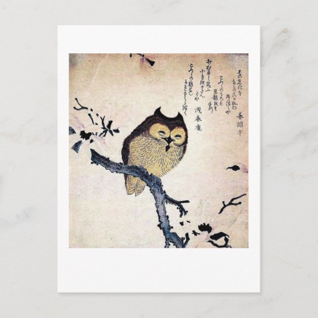 Carte Postale Le Vieux Chouette Sage (Devant)