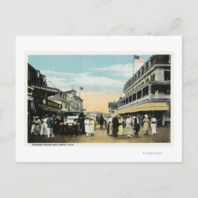 Carte Postale Le vignoble de Martha (Devant)