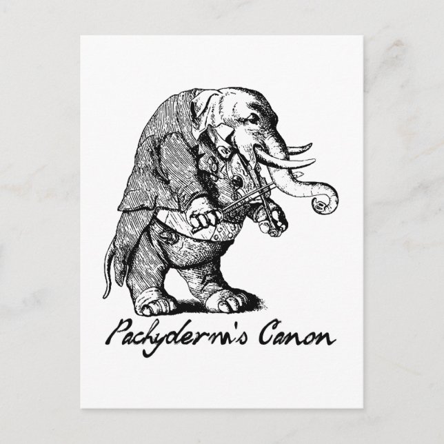 Carte Postale Le violon canon de Pachyderm jouant le jeu Elephan (Devant)