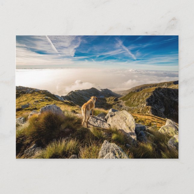 Carte Postale Le voyage (Devant)