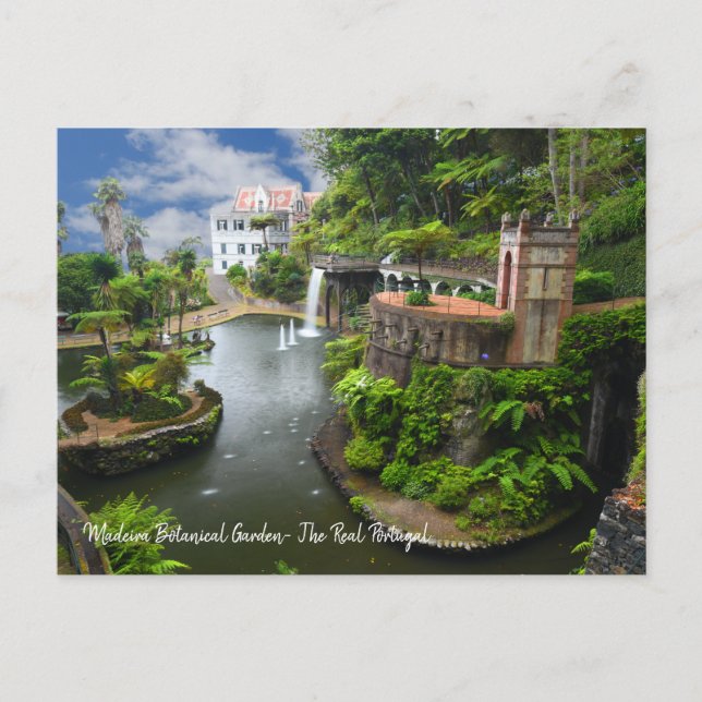 Carte Postale Le vrai Portugal - Jardin botanique de Madère (Devant)
