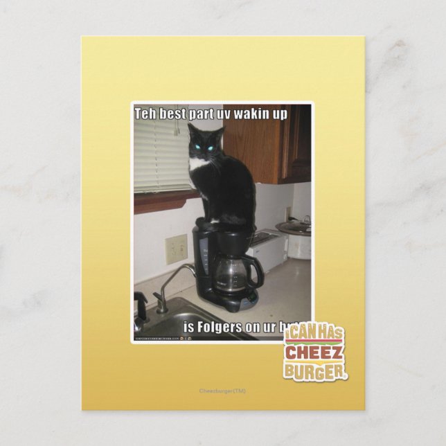 Carte Postale le wakin UV de la meilleure partie (Devant)