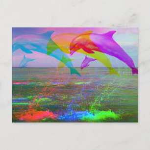 Carte Postale Leaping dolphins rainbow
