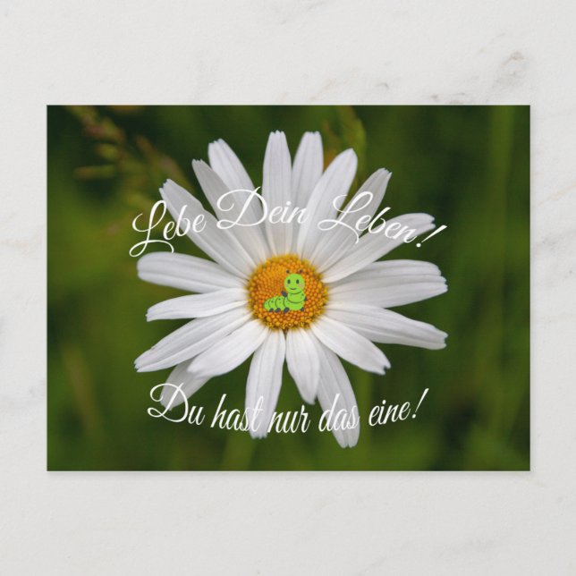 Carte Postale Lebe Dein Leben ! Du hast nur das eine! (Devant)