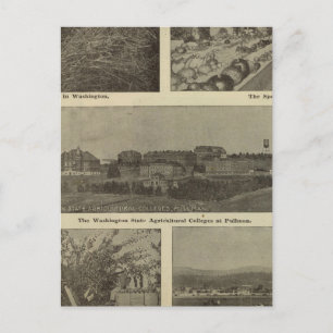 Carte Postale L'économie versatile de Washington